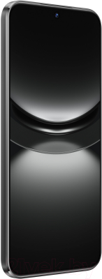 Смартфон Huawei nova 12S 8GB/256GB / FOA-LX9 (черный)