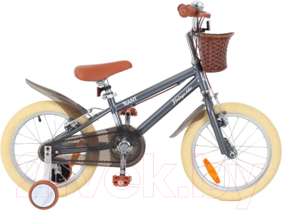 Детский велосипед Rant Vintage 16 (серый)