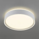 Потолочный светильник Citilux Boss CL751250G -