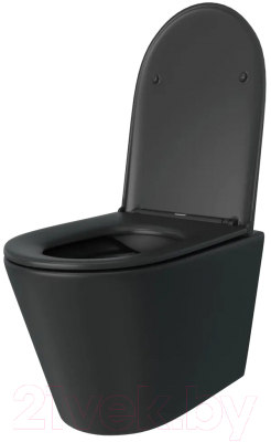 Унитаз подвесной Teymi Solli / T40201MB (черный матовый, с сиденьем)