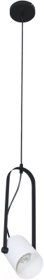 Потолочный светильник Элетех Гамма 211 НСБ 01-60-193 / 1005405347 (черно-белый муар)