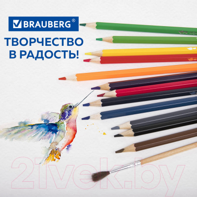 Набор цветных карандашей Brauberg 181849 (24цв)