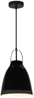 Потолочный светильник GTV Orient OS-ORIENT-10-DEC   (черный)