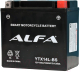 Миниатюра изображения товара Мотоаккумулятор ALFA battery YTX14L-BS / EB14C-3 (14 А/ч)