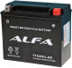 Мотоаккумулятор ALFA battery YTX20HL-BS / EBX20HL-BS-P (18 А/ч) - 