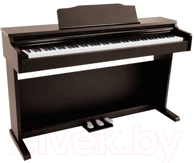 Цифровое фортепиано Solista DP200RW