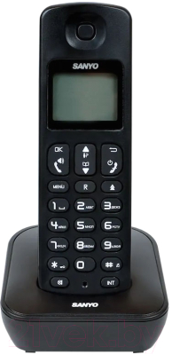 Беспроводной телефон Sanyo RA-SD53RUBK