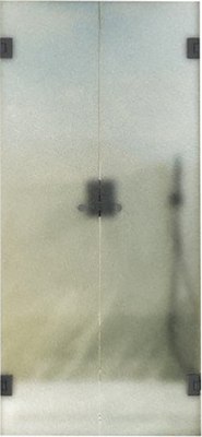 

Душевая дверь, 195x161 / MGD-480-6