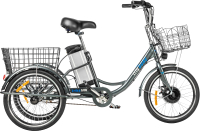 Электровелосипед MyWay Trike 500 20 (17, графитовый, матовый) - 