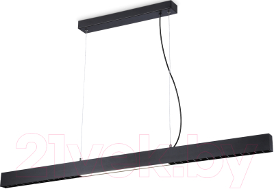 Потолочный светильник Ambrella Comfort FL5966 BK (черный)