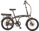 Электровелосипед MyWay Fold 250 20 (15, графитовый) - 