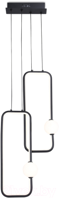 Потолочный светильник Ambrella Comfort FL66366/2 BK (черный)