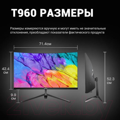 Монитор Sanc 31.5" T960 VA FHD 165Гц (черный)