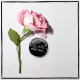 Миниатюра изображения товара Парфюмерная вода Guerlain La Petite Robe Noire Black Perfecto Florale (50мл)