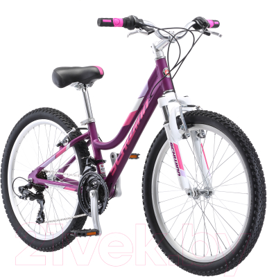 Изображение товара Велосипед Schwinn Breaker 24 Girls Purple / S2529INT