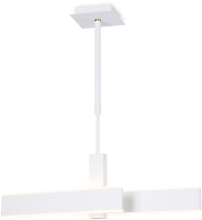 Потолочный светильник Ambrella Acrylica FA6666 WH (белый) - 