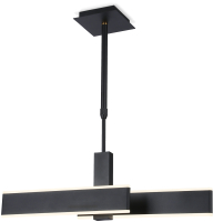 Потолочный светильник Ambrella Acrylica FA6667 BK (черный) - 