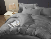 Комплект постельного белья PANDORA №3x3 17-1502 Серый 2сп с европростыней (микрофибра-страйп) - 