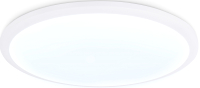 Потолочный светильник Ambrella Orbital FZ1231 WH (белый) - 