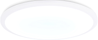 Потолочный светильник Ambrella Orbital FZ1232 WH (белый) - 