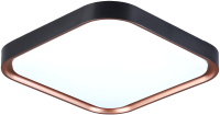 Потолочный светильник Ambrella Orbital FZ1265 BK/PGD (черный/розовое золото) - 