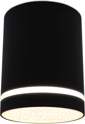 Точечный светильник Ambrella TN3204 SBK (черный песок)