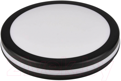 Изображение товара Светильник ЖКХ Leek LE LED RBL 03 30W / LE061100-0060