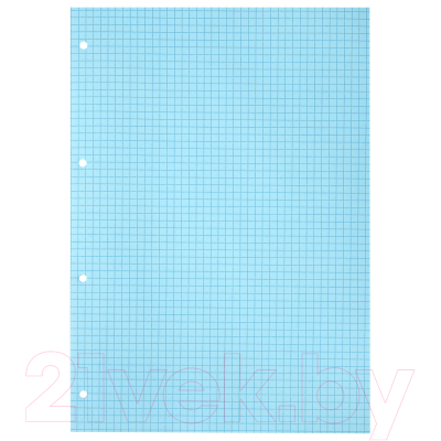 Сменный блок листов Brauberg А4 / 404519 (120л, 4цв)