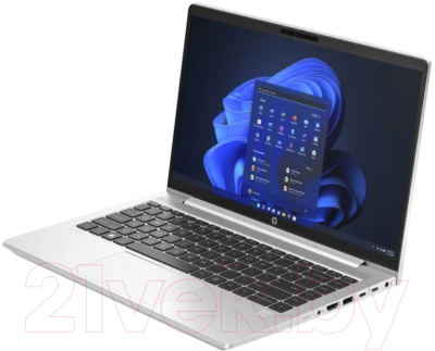 Ноутбук HP ProBook 440 G10 (816N0EA)