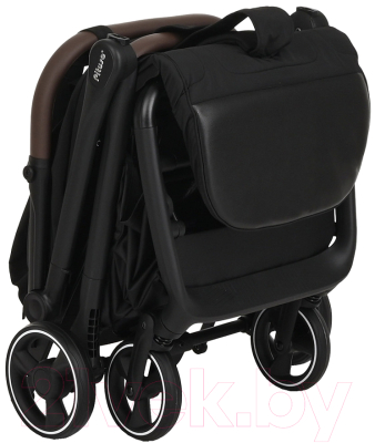 Детская прогулочная коляска Pituso Matrix / A19  (черный)