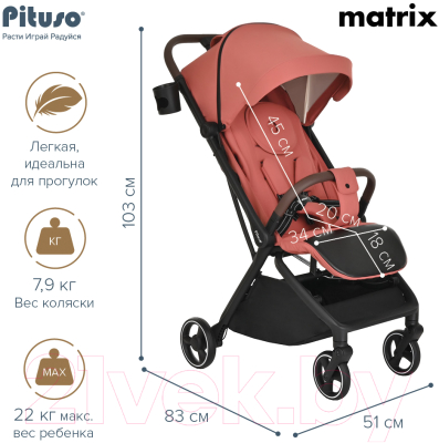 Детская прогулочная коляска Pituso Matrix / A19 (морозная ягода)