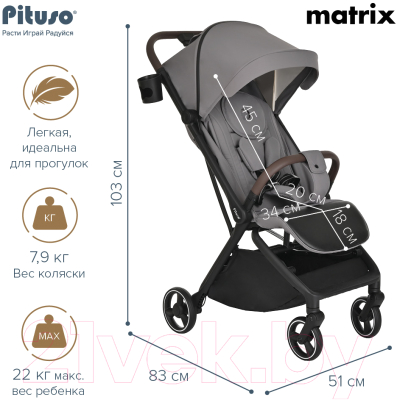 Детская прогулочная коляска Pituso Matrix / A19 (графит)