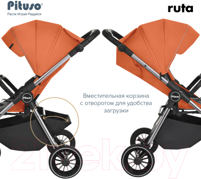 Детская прогулочная коляска Pituso Ruta / BD206 (оранжевый)