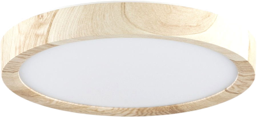 Потолочный светильник Citilux Бейсик CL738122N