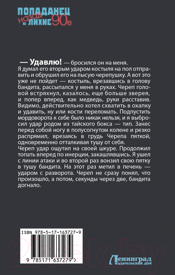 Художественная книга АСТ Боец. Ростов-папа / 9785171637279 (Гуров В., Дамиров Р.) — фото 2