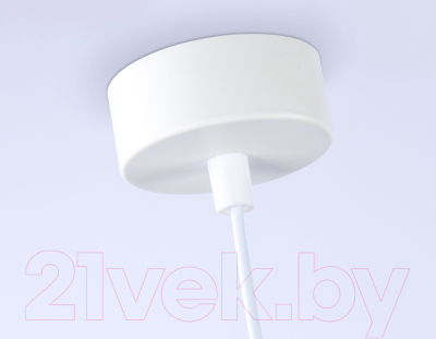 Потолочный светильник Ambrella Techno Spot TN5122 WH (белый)