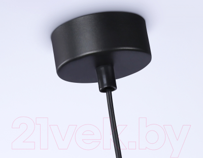 Потолочный светильник Ambrella Techno Spot TN5125 BK (черный)
