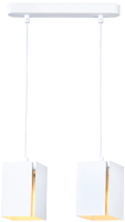 Потолочный светильник Ambrella Techno Spot TN5131/2 WH (белый) - 