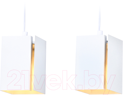 Потолочный светильник Ambrella Techno Spot TN5131/2 WH (белый)