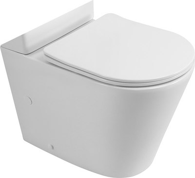 Чаша унитаза напольного BelBagno BB2149CPR/SC (с сиденьем) - 