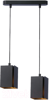 Потолочный светильник Ambrella Techno Spot TN5133/2 BK (черный)