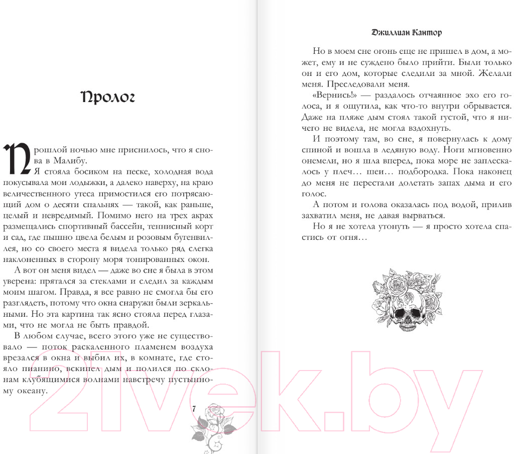 Художественная книга АСТ Украденный роман / 9785171588502 (Кантор Д.) — фото 3