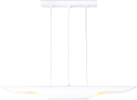 Потолочный светильник Ambrella Techno Spot TN5155/2 WH (белый) - 