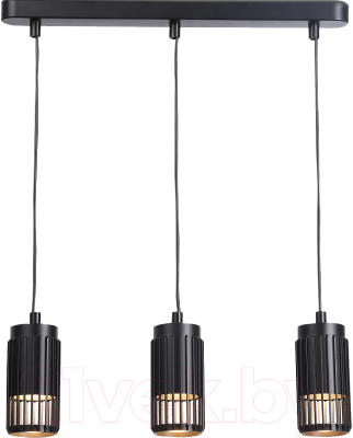 Потолочный светильник Ambrella Techno Spot TN51699/3 BK (черный)
