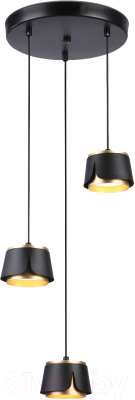 Люстра Ambrella Techno Spot TN71252/3 BK/GD