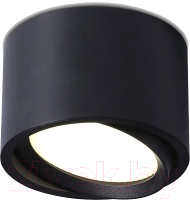 Точечный светильник Ambrella Techno Spot TN6808 BK (черный)