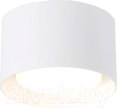 Точечный светильник Ambrella Techno Spot TN70812 WH (белый)