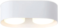 Точечный светильник Ambrella Techno Spot TN70818/2 WH (белый) - 