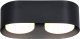 Точечный светильник Ambrella Techno Spot TN70821/2 BK (черный) - 