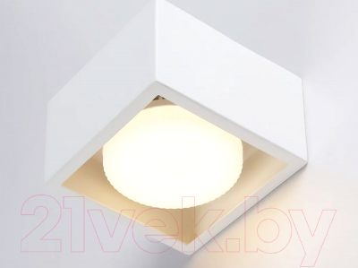 Точечный светильник Ambrella Techno Spot TN70825 WH (белый)
